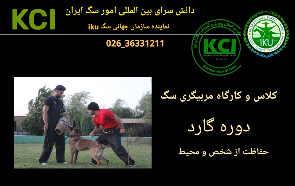 سگ گارد سگ نگهبان در کلاس مربیگری سگ kci اموزش مربیگری سگ